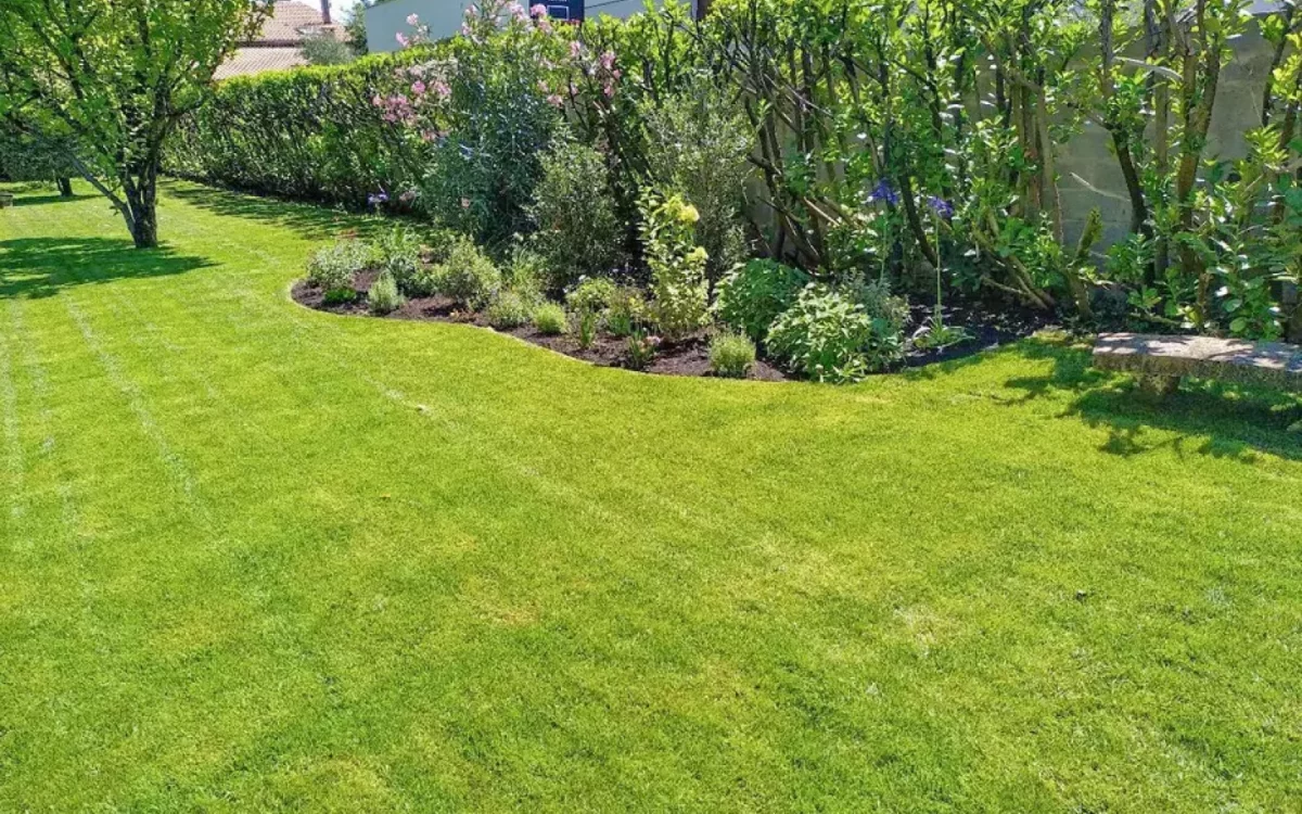 Taille de haies par un jardinier professionnel dans le Val-d'Oise (95)