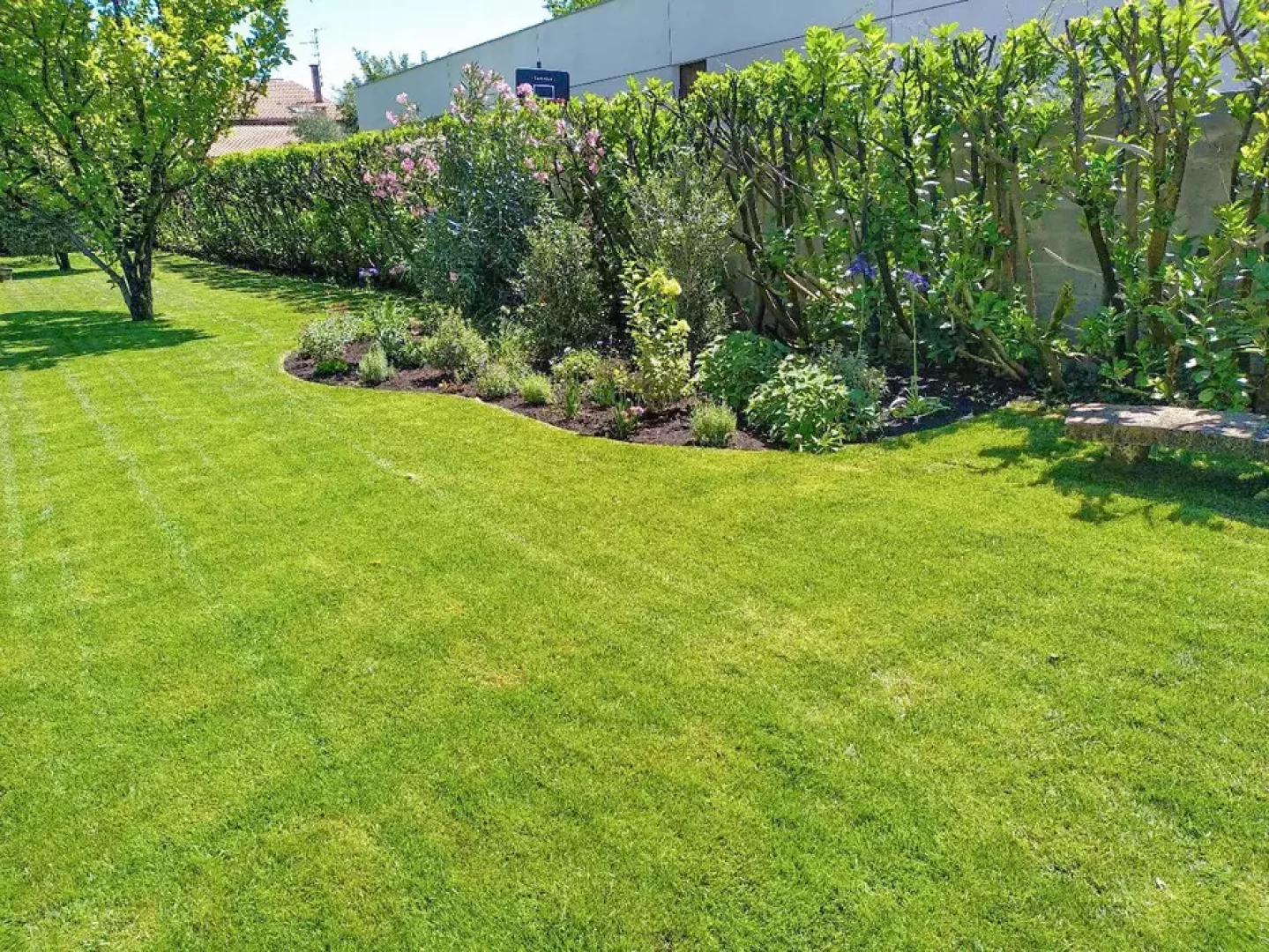 Taille de haies par un jardinier professionnel dans le Val-d'Oise (95)
