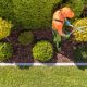 Plantation d'une haie par un jardinier paysagiste dans le Val-d'Oise (95)