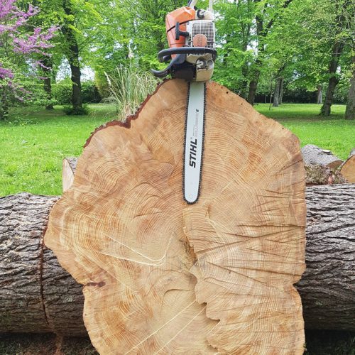 ABATTAGE-ARBRE-95